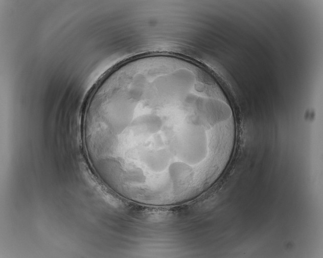 X0000113250886200909241609