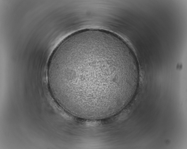 X0000113250887200909241609