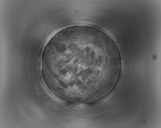 X0000113250891200909241609