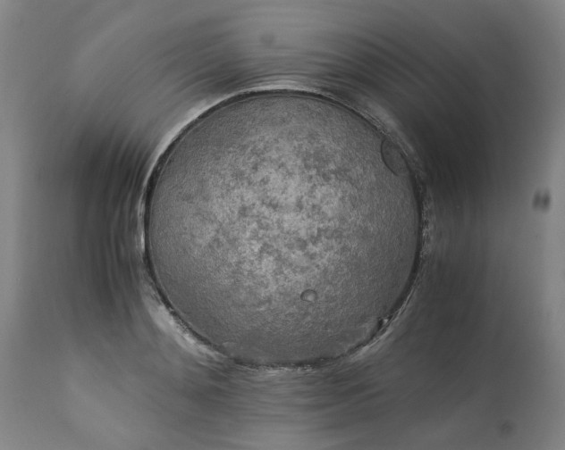 X0000113250892200909241609