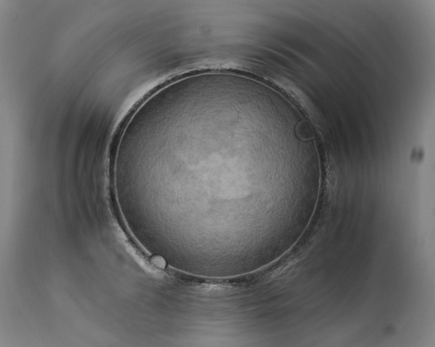 X0000113250894200909241609