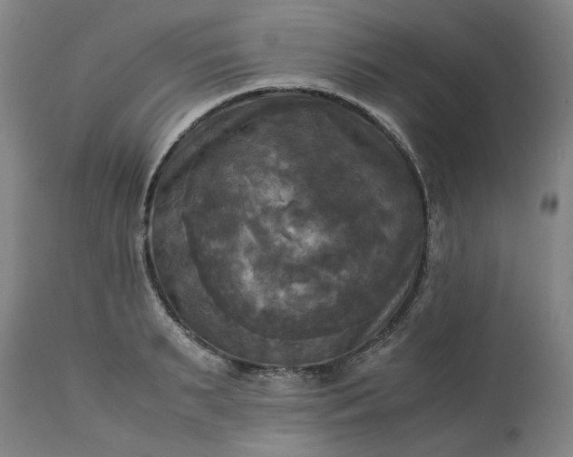 X0000113250895200909241609