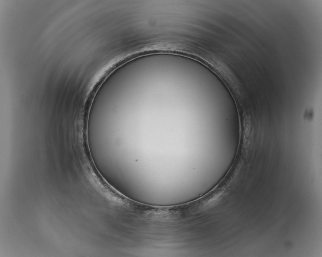 X0000113250896200909241609