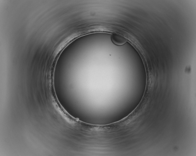 X0000113250898200909241608