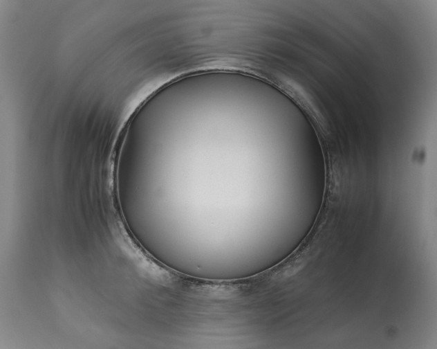 X0000113250900200909241608