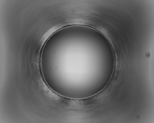 X0000113250901200909241608