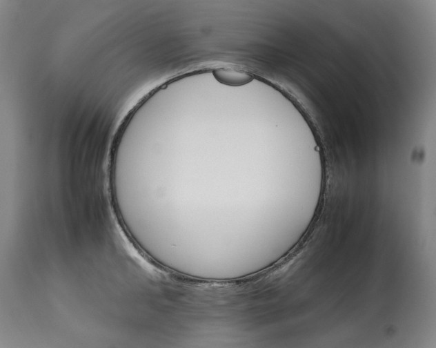 X0000113250902200909241608