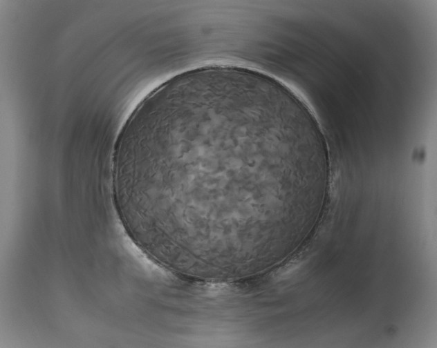 X0000113250903200909241608