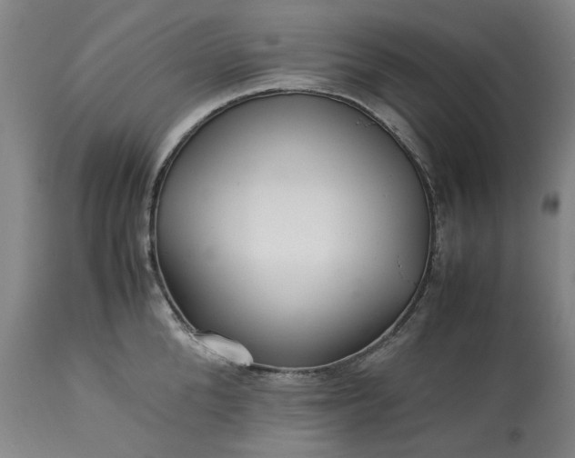 X0000113250904200909241608