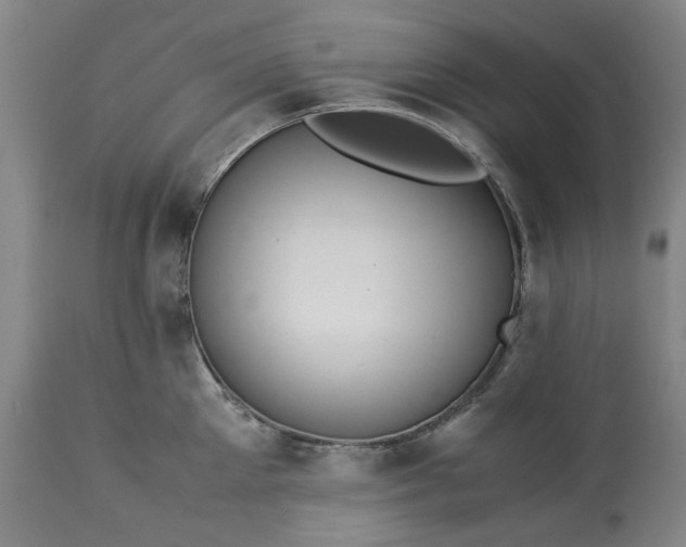 X0000113250905200909241608