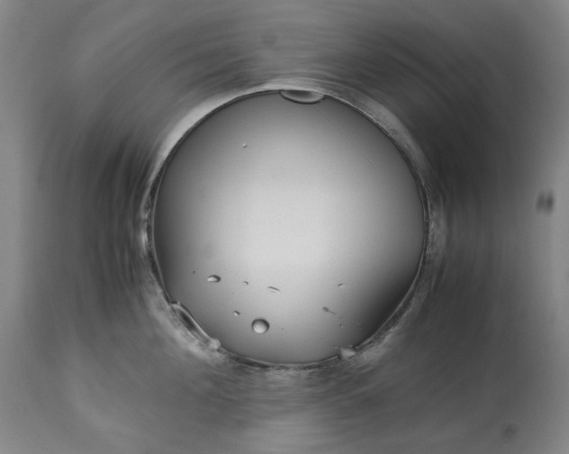 X0000113250908200909241608