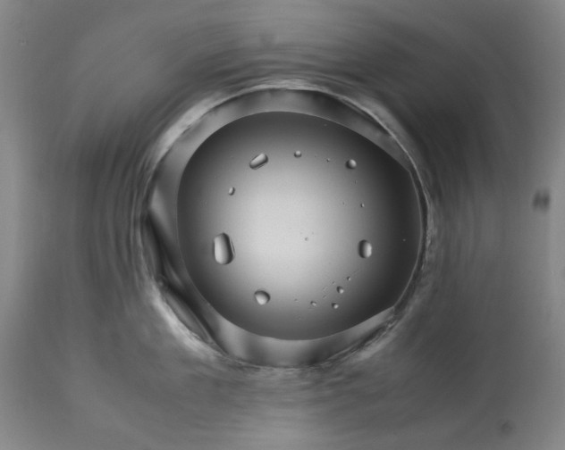 X0000113250909200909241608