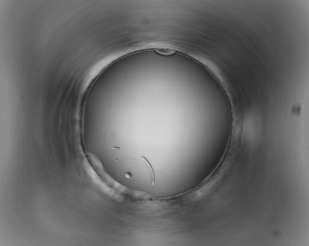 X0000113250910200909241608