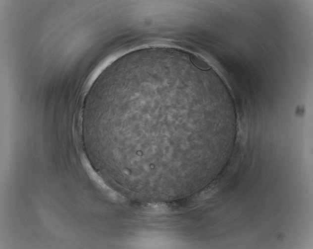 X0000113250911200909241608