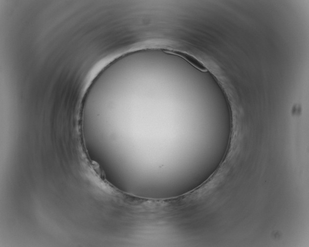 X0000113250912200909241608