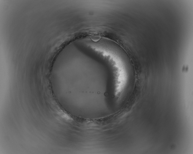 X0000113250913200909241608