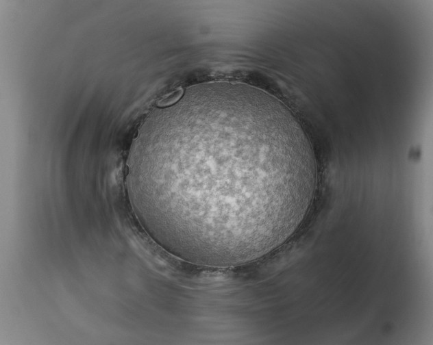 X0000113250914200909241608