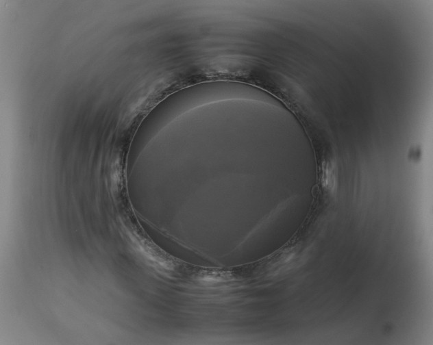 X0000113250915200909241608