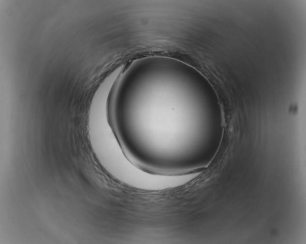 X0000113250916200909241608