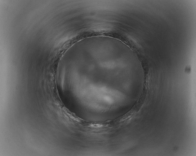 X0000113250917200909241608