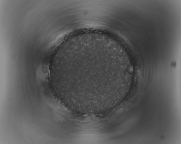 X0000113250918200909241608