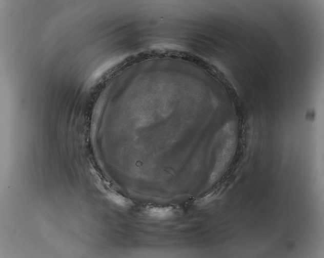 X0000113250919200909241608