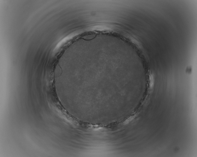 X0000113250920200909241608