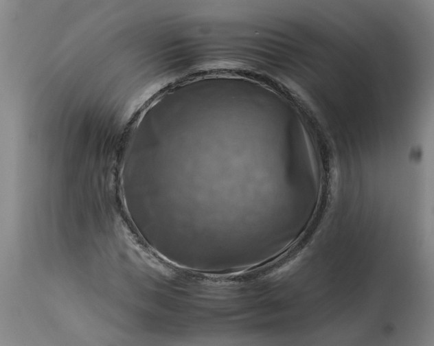 X0000113250921200909241608