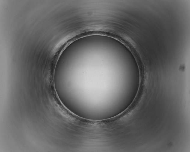 X0000113250922200909241608