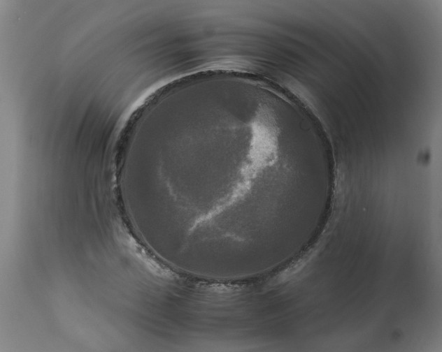 X0000113250923200909241608