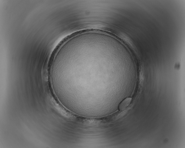 X0000113250924200909241608