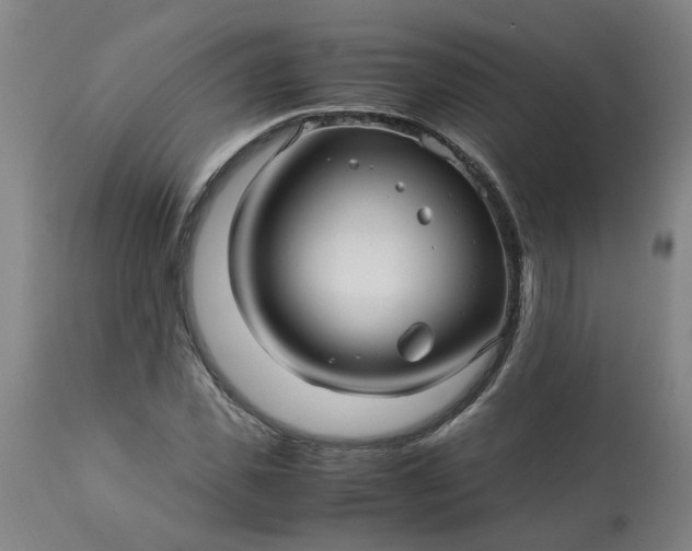 X0000113250925200909241608