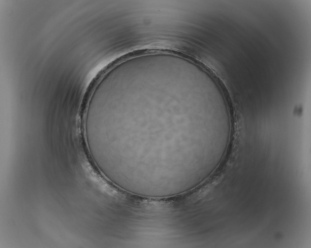 X0000113250928200909241608