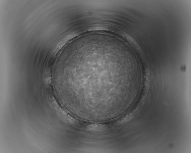 X0000113250929200909241608