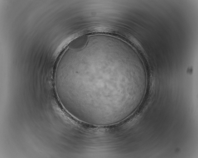 X0000113250930200909241608