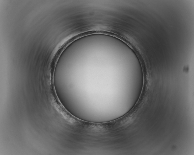 X0000113250931200909241608