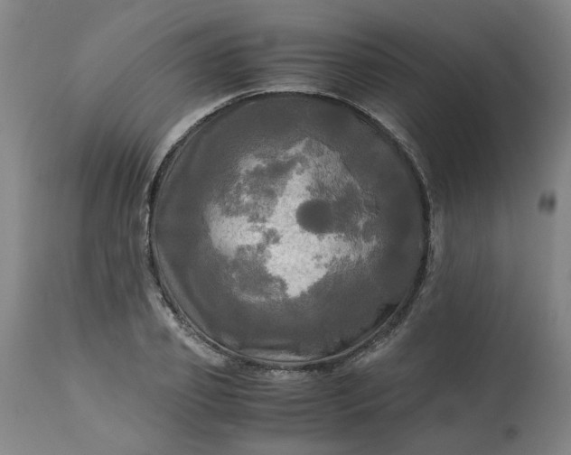 X0000113250933200909241608