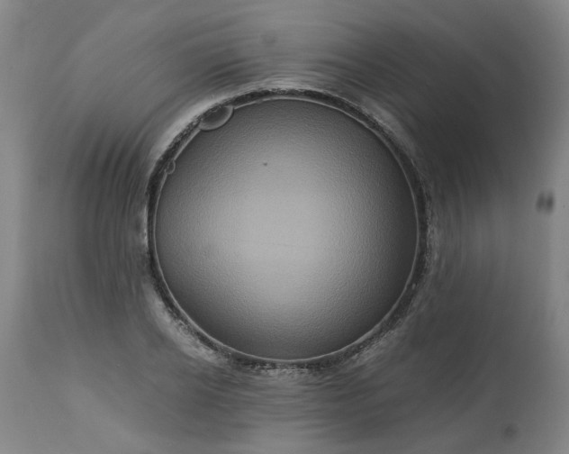 X0000113250934200909241608