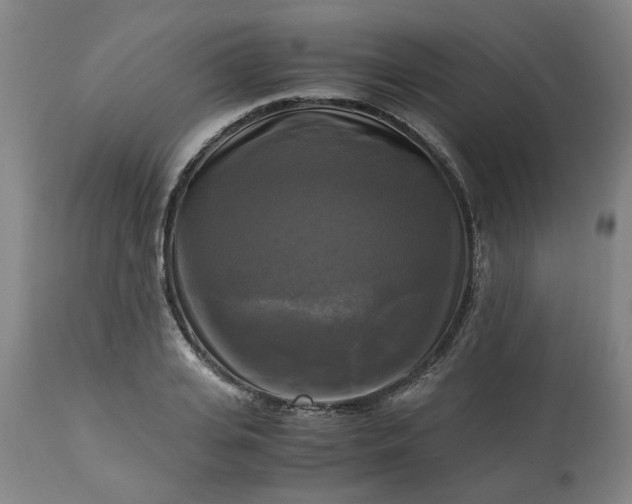 X0000113250935200909241608