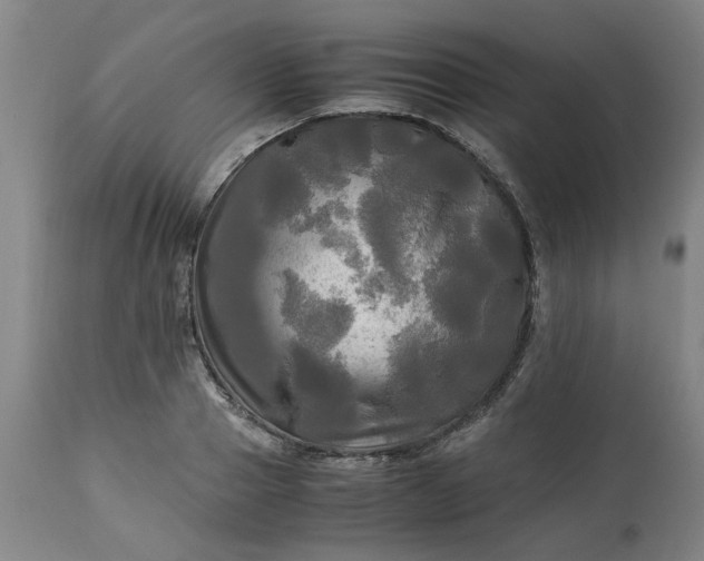 X0000113250937200909241608