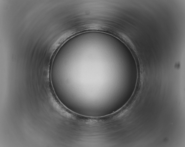 X0000113250938200909241608