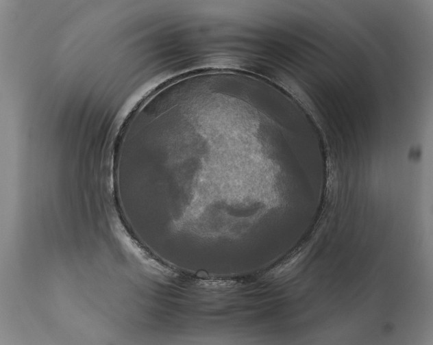 X0000113250939200909241608