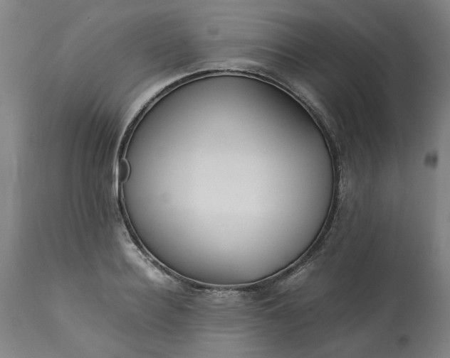 X0000113250940200909241608