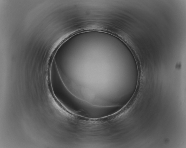 X0000113250941200909241608