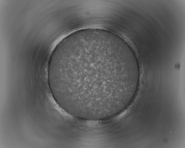 X0000113250944200909241608