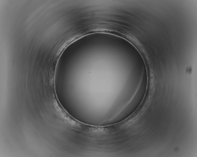 X0000113250945200909241608