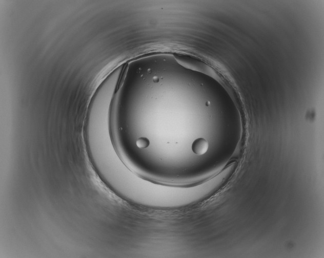 X0000113250946200909241608