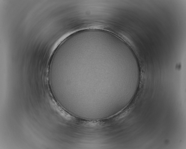 X0000113250948200909241608