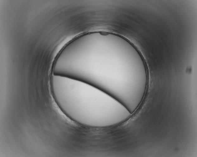 X0000113250949200909241608