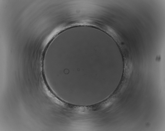 X0000113250950200909241608